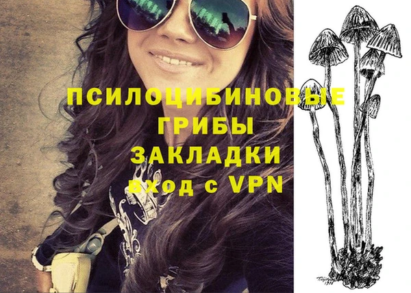 мдпв Балахна